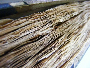 biblioteca 162 copy.jpg